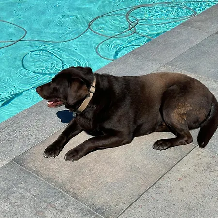 Bed & Breakfast Les Chez Christine Ottrott