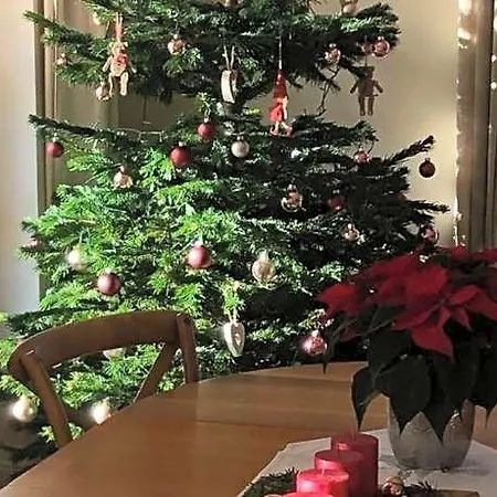Frühstückspension Les Chez Christine Ottrott