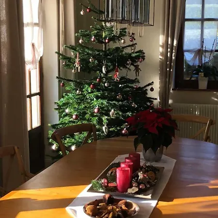 Les Chez Christine 4* Ottrott